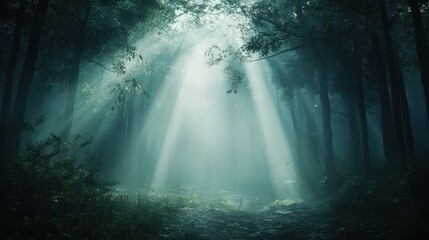 Fototapeta premium Mysterious light beam forest background