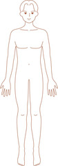 前を向いた男性のシンプルなヌードイラスト