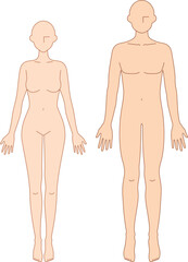 Fototapeta premium 前を向いた男女のシンプルなヌードイラスト