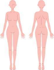 女性のシンプルなヌードイラスト（前後）