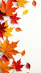 Fototapeta premium Dense autumn leaves scattered on a white background, leaves, autumn, season