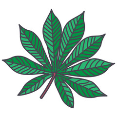 cassava leaves