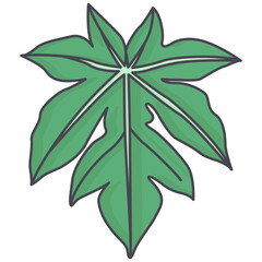 papaya leaves