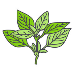 Daun Kemangi