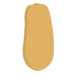 papaya Fruit