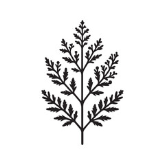 Simple artemisia plant vector silhouette. Artemisia plant icon isolated on flat background
