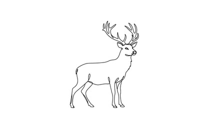 deer vector illustration