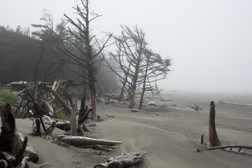 Cape Disappointment State Park