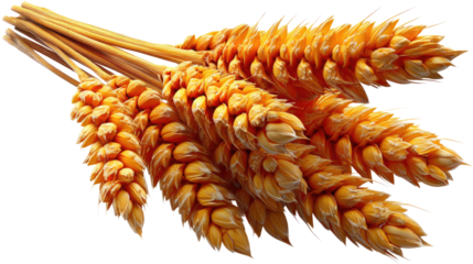 Wheat Harvest Bounty: Golden wheat stalks, ripe and ready for harvest, symbolize abundance, nourishment, and the bounty of nature.  The perfect symbol of a fruitful year, they represent life, growth.
