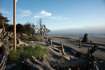 Cape Disappointment State Park