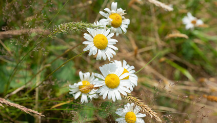 Cape Disappointment State Park