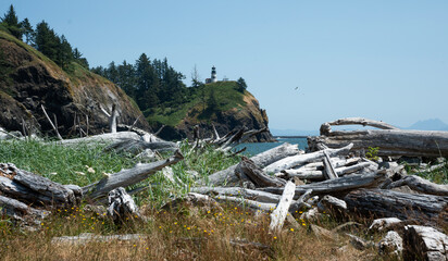 Cape Disappointment State Park