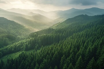 Fototapeta premium Verdant mountain ranges bathed in golden sunlight.