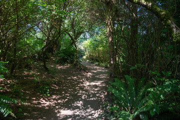 Cape Disappointment State Park