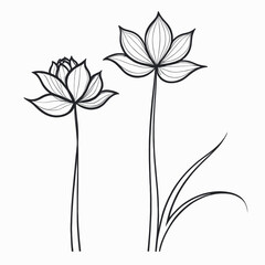 Elegant Line Art Floral Design featuring Two Lotus Flowers and Leaves on a White Background