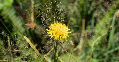 Cape Disappointment State Park
