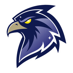 Obraz premium Cosmic Falcon mascot logo vector