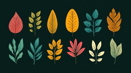 Obraz premium Colorful leaves arrangement. Nature background for graphic design or decorative element