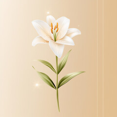 Obraz premium cute lily line art,