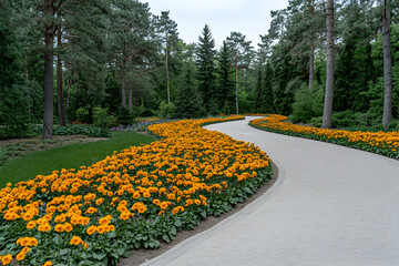 Obraz premium Serpentine garden path bordered by vibrant orange flowers, winding through a lush green forest. Perfect for tranquility, nature, and landscaping themes.