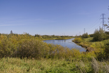Pylypow Wetlands in the Summer