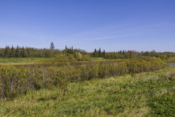 Pylypow Wetlands in the Summer