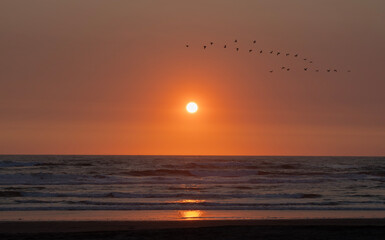 Cape Disappointment State Park