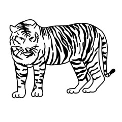 Coloring Line Art Sumatran Tiger Indonesian Endemic Animal for Wildlife Conservation, Biodiversity Education, and Jungle Fauna Illustration