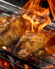 Two pieces of chicken are on a grill, one of which is covered in sauce