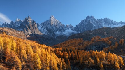 Obraz premium Golden Larch and Snowy Peaks