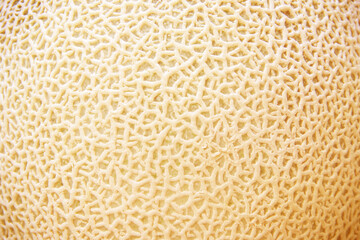 Melon skin texture natural light brown natural background