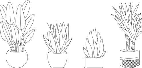 vector silhouette design illustration sketch of potted ornamental plants for living room interior decoration © jihan