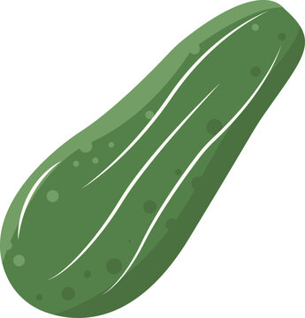 green zucchini vegetable isolated white background clip art preview