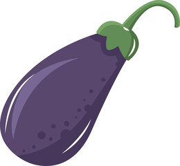flat eggplant vector ilustration