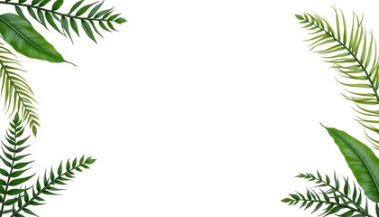 Vibrant tropical leaves frame a blank space.