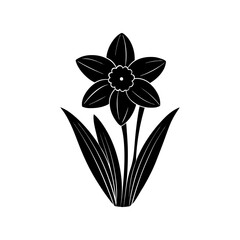 Daffodil Silhouette vector illustration