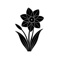Daffodil Silhouette vector illustration