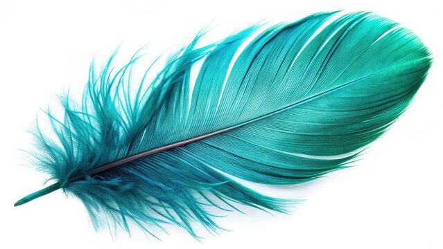 Beautiful closeup of a bright shiny turquoise feather isolated on white background, showcasing its vibrant color and intricate details