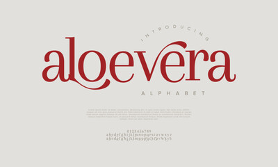 Elegant Feminine Font for Branding Wedding Logo Packaging Display and Modern Editorial Design