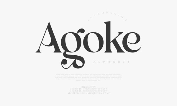Elegant Serif Display Font for Branding Wedding Invitation Logo Design