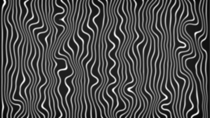 white and black zebra stripes pattern abstract background. Vector illustration