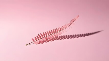 Obraz premium A delicate fern leaf placed on a soft blush pink background with gentle lighting, perfect for a feminine branding style.