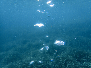 Bubbles under the sea in the crystal clear green sea water. Mediterranean bubbles. Real image very...