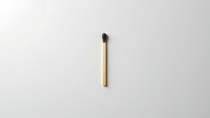 Unlit Matchstick on White &ndash; The Spark Yet to Ignite