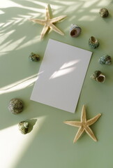 Empty paper blank card mockup, seashells, stars and palm leaves shadow top view on light green background. Summer vacation, travel backdrop.Neutral colors