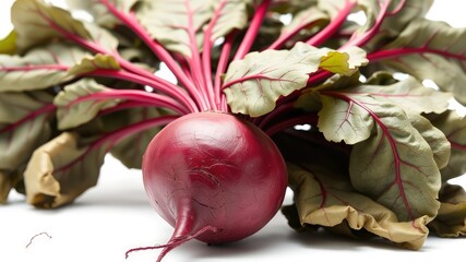Perfect for use in healthy eating, nutrition, agriculture, organic farming, and vegetarian lifestyle concepts.
