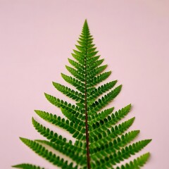 A symmetrical fern leaf with rich green details, placed on a soft pastel background, ideal for eco-friendly and wellness designs
