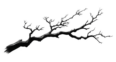 old dead spooky tree isolated on white or transparent	
