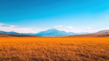A vast golden field stretches under a bright blue sky, with distant mountains providing a stunning backdrop.