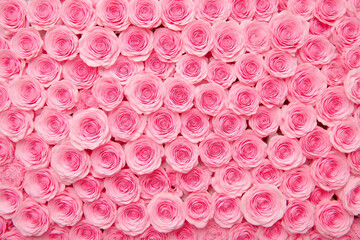 bunch of pink roses sitting on top of each other